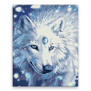 NO-1005686 NORIMPEX Malování podle čísel - obraz 40x50cm - Bílý vlk