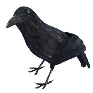 Halloween Death - Dekorace havran černý  33 cm