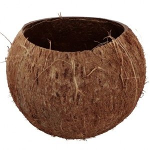 Dekorace Kokosový ořech 13 x 10 cm